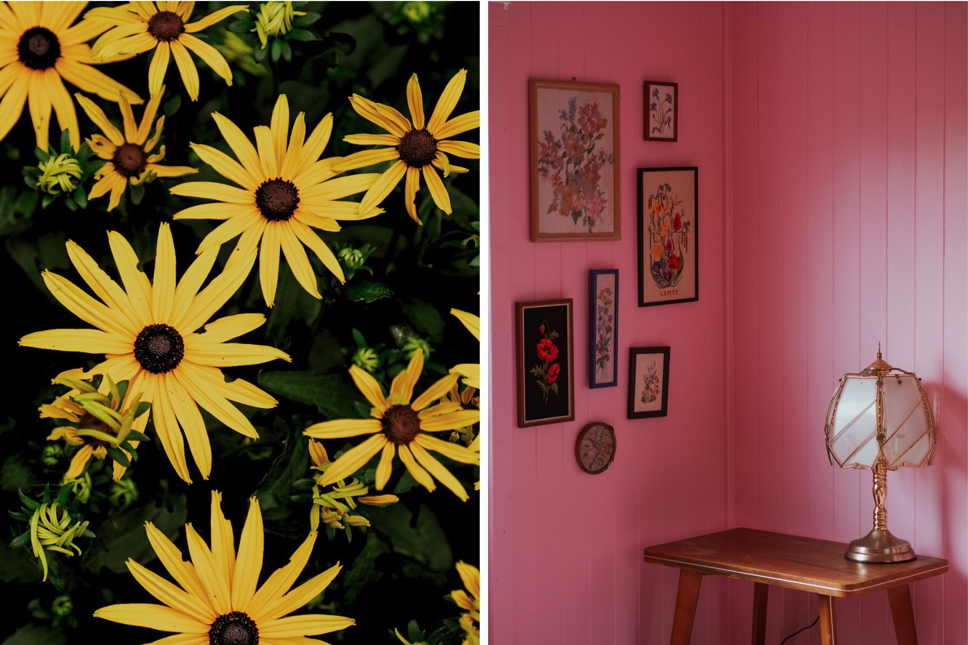 Die pinke "Luxe kamer" war der absolute Knaller und wir haben uns dort sehr wohlgefühlt.