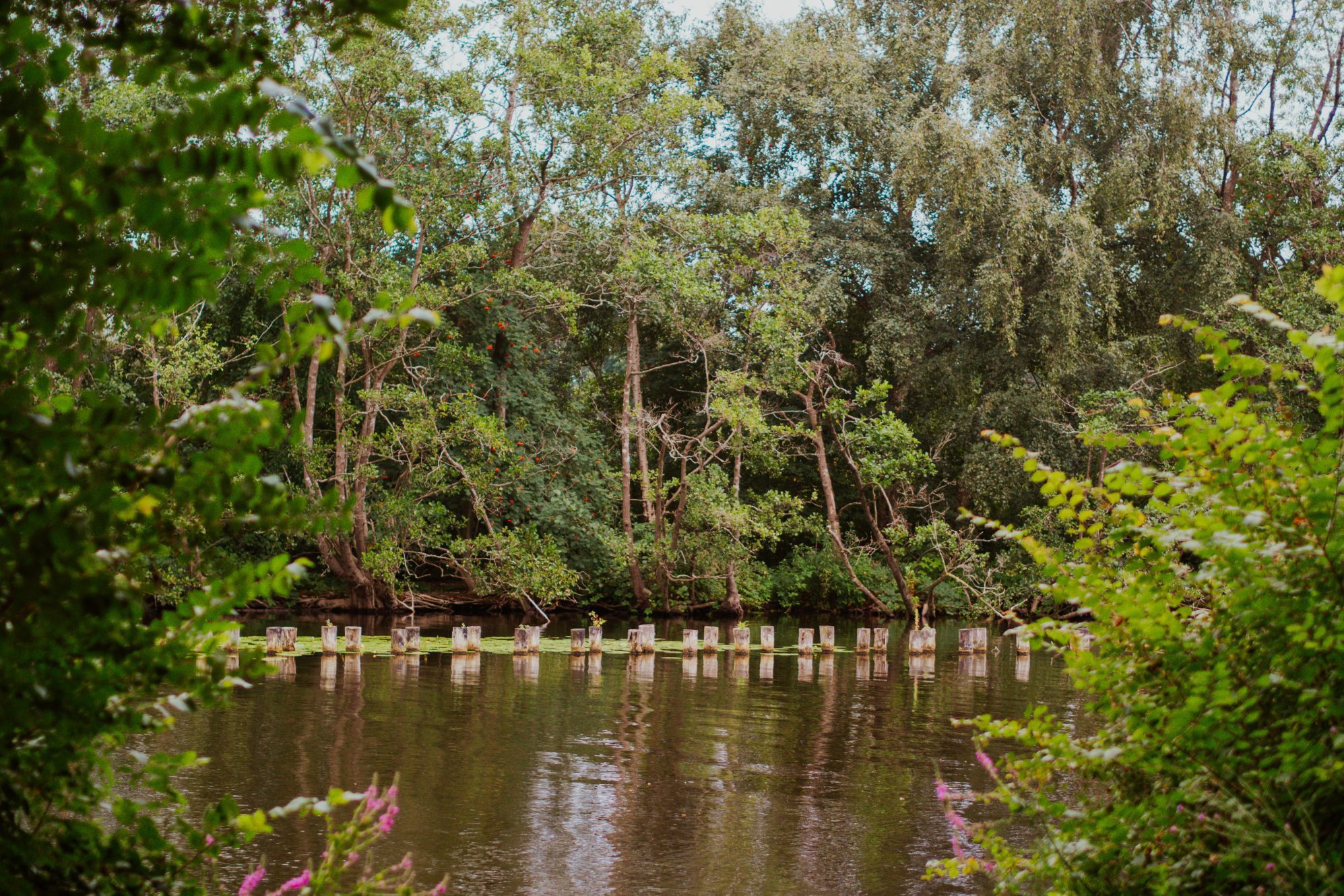 Vinkeveense Plassen Glamping Tuinhotel Tralala